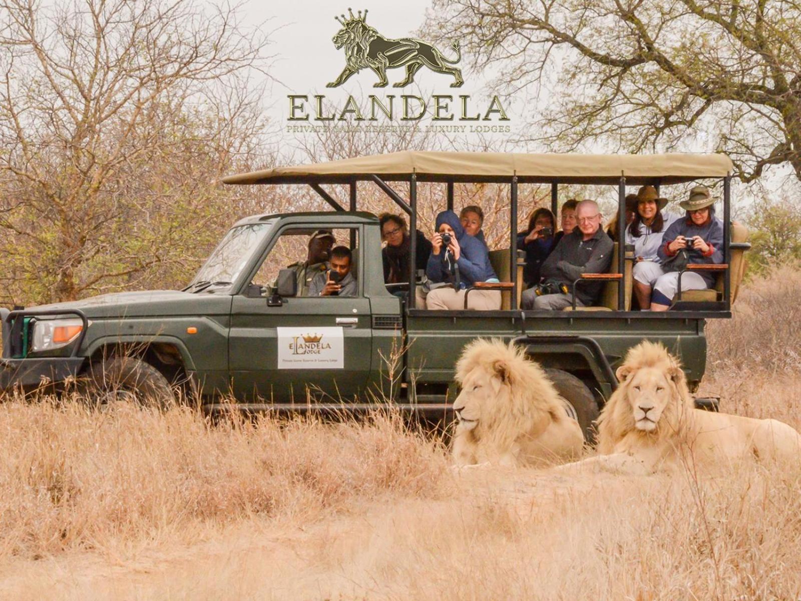 Elandela Private Game Reserve And Luxury Lodges Pty Ltd Hoedspruit Exterior photo