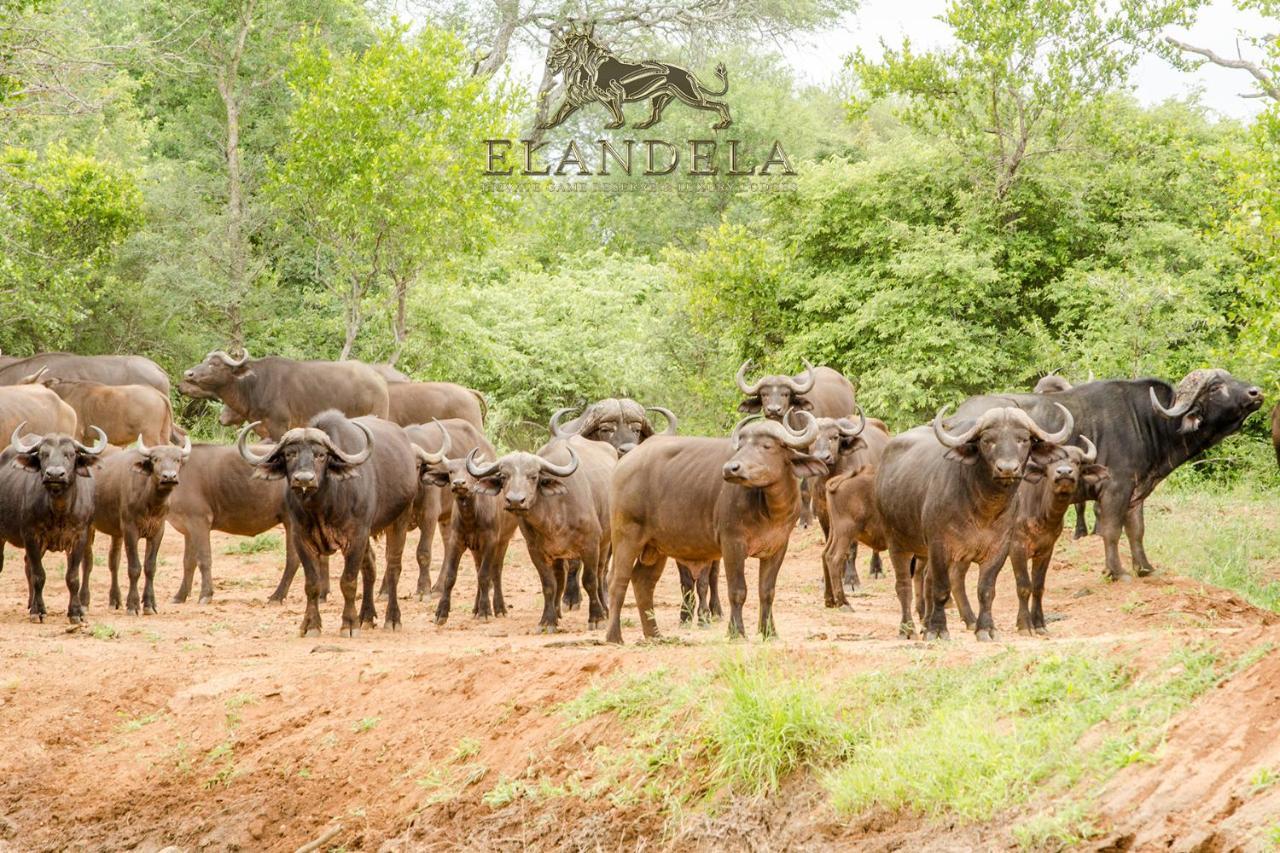 Elandela Private Game Reserve And Luxury Lodges Pty Ltd Hoedspruit Exterior photo