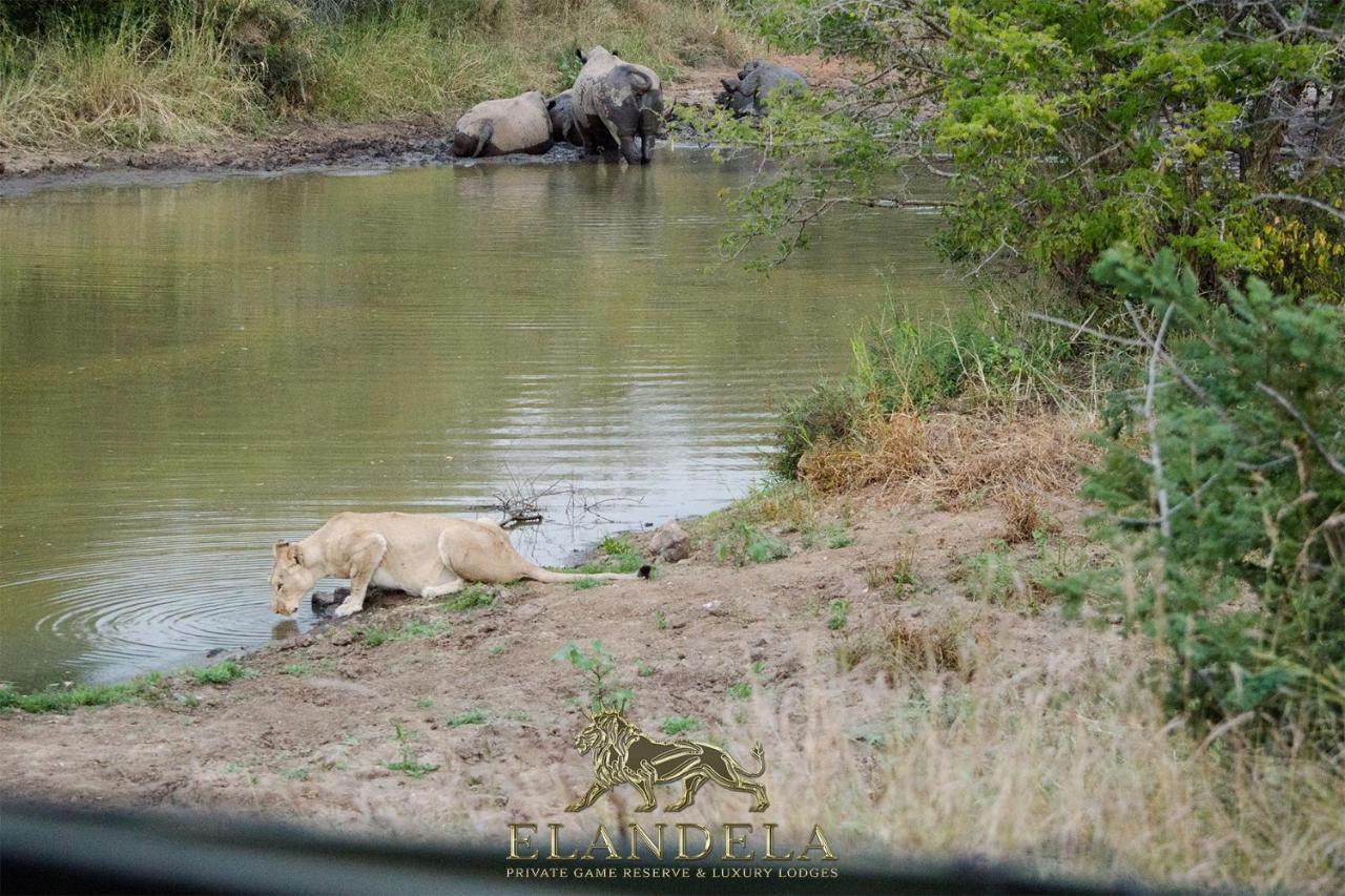 Elandela Private Game Reserve And Luxury Lodges Pty Ltd Hoedspruit Exterior photo